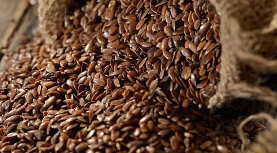 Flax Seed